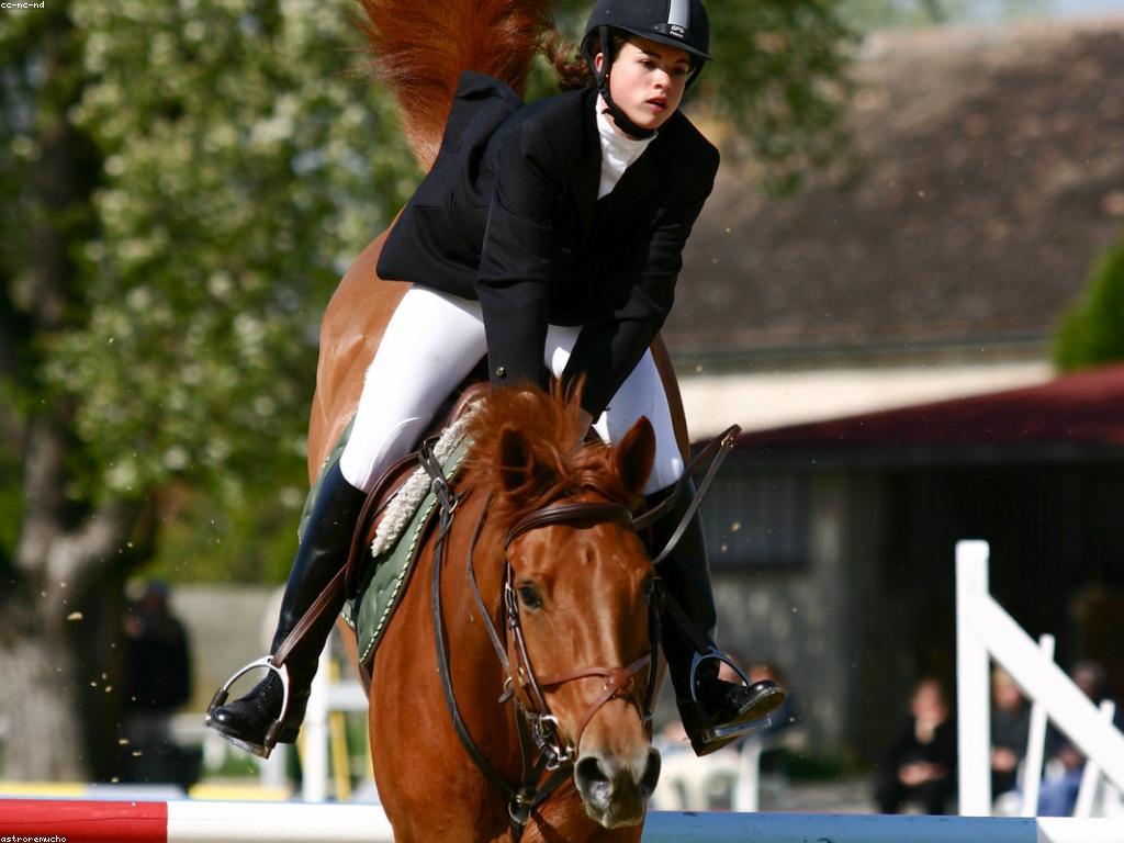 ការវិភាគនៃក្បាច់ស្លុត